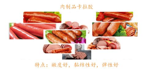 专注高端肉类食品配料 青岛锐思隆与您相约2021年上海食材展